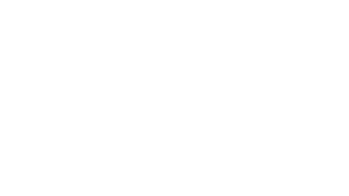 FISCHER PANDA