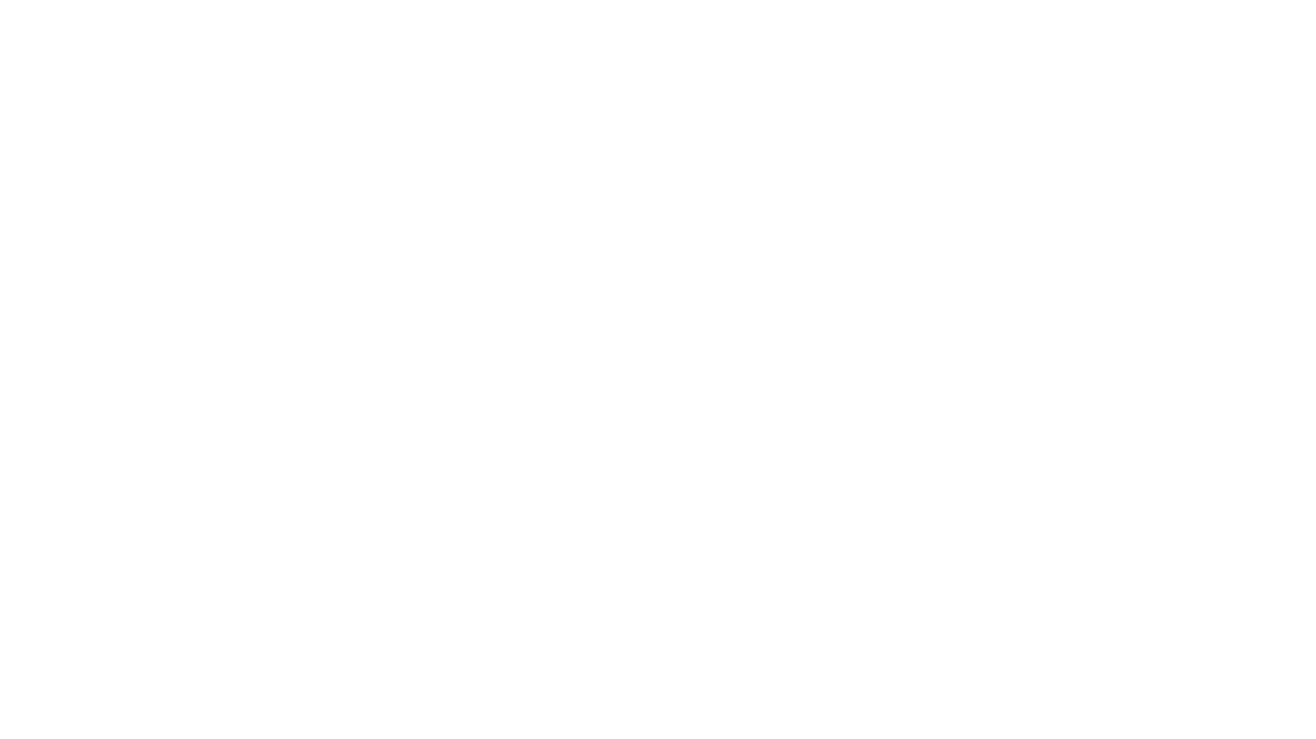 MINN KOTA