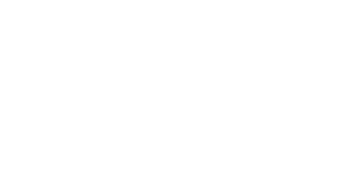 raymarine